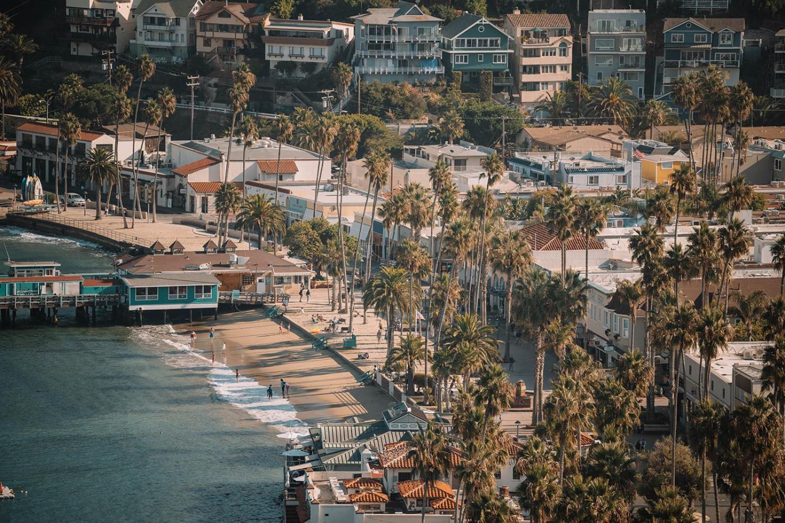 The Edgewater Avalon